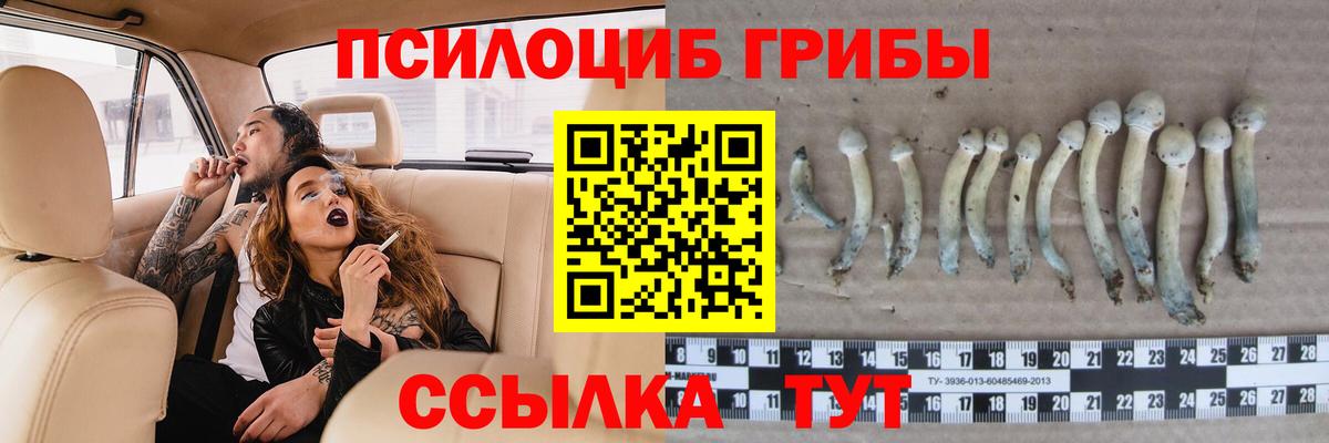 Псилоцибиновые грибы MAGIC MUSHROOMS Усть-Джегута